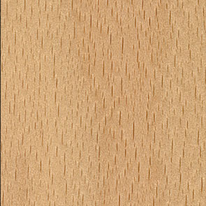 Mobiliari GmbH - Natural beech 005